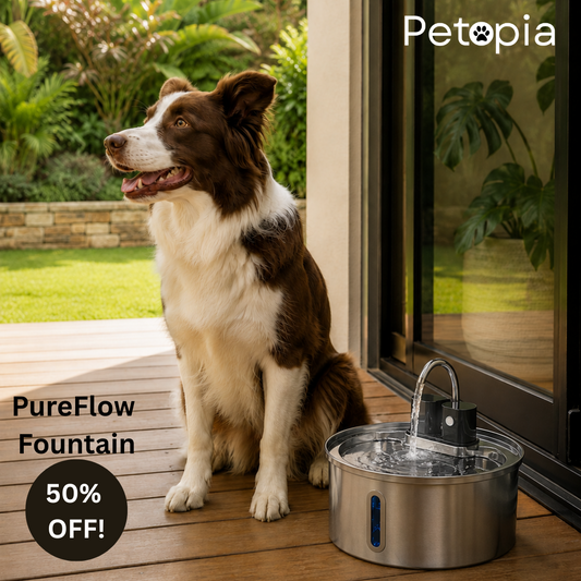 PureFlow Fountain